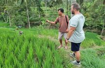 Lombok Private Customize Tour