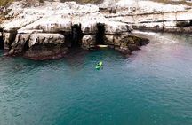 La Jolla Sea Caves Kayak Tour (Single Kayak) 