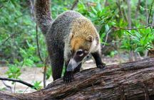 Trail Lovers: Rincon de la Vieja Volcano & La Leona Waterfall