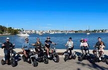 Naples Florida Guided Electric Mix and Match Tour - Family Fun