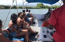 YS Falls and Black River Safari Including Pelican Bar Tour