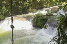 YS Falls and Black River Safari Including Pelican Bar Tour