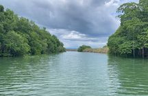 YS Falls and Black River Safari Including Pelican Bar Tour