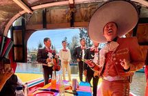  Mixology, Food, Wine and Beer Experience in Xochimilco