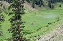 All Day Rocky Mountain National Park to Grand Lake Tour