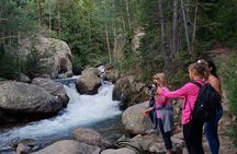 All Day Rocky Mountain National Park to Grand Lake Tour
