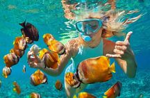 1 Hour Private Snorkeling Activity In Montego Bay 