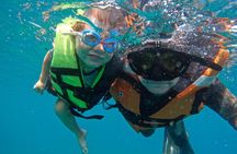 Snorkeling Experience in Los Arcos de Mismaloya