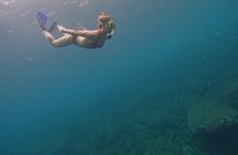 Snorkeling Experience in Los Arcos de Mismaloya