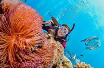 Margaritaville/Jeski Tour or Snorkeling in Montego Bay 