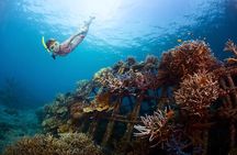 Margaritaville/Jeski Tour or Snorkeling in Montego Bay 
