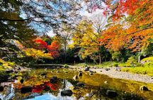 Private Walking Tour to explore Tokyo based on your interests