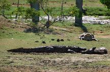 Situlpawwa Temple Visit with Yala National Park outside Safari