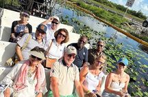 Experience Miami Everglades Eco Tour
