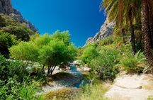 Preveli Beach & Palm Forest :Full-Day Tour with Lunch Box 