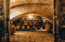 Villa Medicea Di Lilliano Tour with Wine Tasting