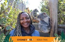 Blue Mountains Experience - Timeless Nature on a grand scale 