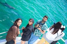 Port Stephens Experience: Incredible Adventure, Wild by Nature