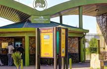 Overnight Amboseli National Park Safari from Nairobi