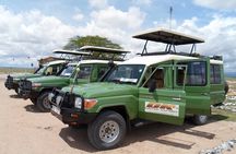 Overnight Amboseli National Park Safari from Nairobi