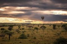 Day Trip To Tarangire National Park