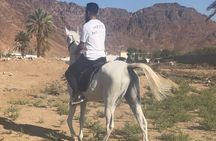 1 Hour Private Horse Riding in Madinah 