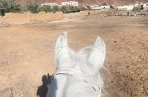 1 Hour Private Horse Riding in Madinah 