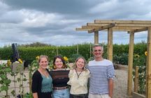 Spring Tonic Foraging Tour