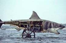 4 hours Hop-on Hop-off Jawsome Jaws Tour