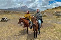 Cotopaxi National Park Horse Ride Full-Day Experience from Quito