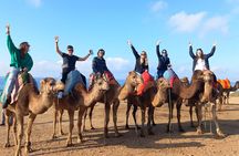 Tangier Uncovered: A Full Day Adventure through Morocco’s Jewel
