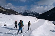 Weekend Snowshoes in Vall d' Arán Pyrenees