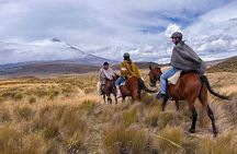 Cotopaxi National Park Horse Ride Full-Day Experience from Quito