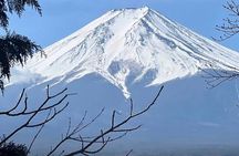 Mt. Fuji Day Trip from Tokyo with English Speaking Driver Guide