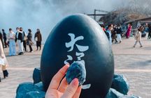 Mt. Fuji Day Trip from Tokyo with English Speaking Driver Guide