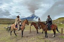 Cotopaxi National Park Horse Ride Full-Day Experience from Quito