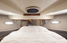 Puerto Vallarta: All Inclusive Coast & Fun 4hrs 51' Leopard Cat