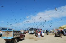 Taste of Ecuador: Fish Market, Forest trail, Local Food & Crafts