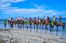 Shared Tour in Ocho Rios with Horseback Riding and Swimming