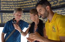 Cali Salsa Tour: Learn the history, dance and play instruments