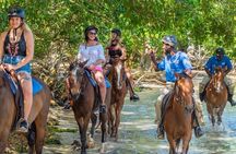 Horseback Riding City Tour + Rum and Chocolate Factory
