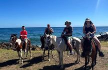 Horseback Riding City Tour + Rum and Chocolate Factory