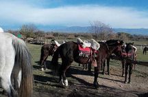 Horseback Riding with Gauchos and Native Empanadas in Mendoza