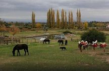 Horseback Riding with Gauchos and Native Empanadas in Mendoza