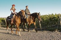 Horseback Riding with Gauchos and Native Empanadas in Mendoza