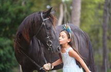 2 Hours Shared Horse Riding in Kemer Antalya All Level Riders 