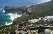 Table Mountain, Penguins and Cape Point Sharing GroupTour