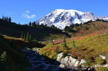 2 Day Mt Rainier All-Inclusive Small Group Tour