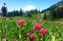 2 Day Mt Rainier All-Inclusive Small Group Tour