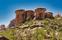 Canyonlands Full Day Private Tour and Hike